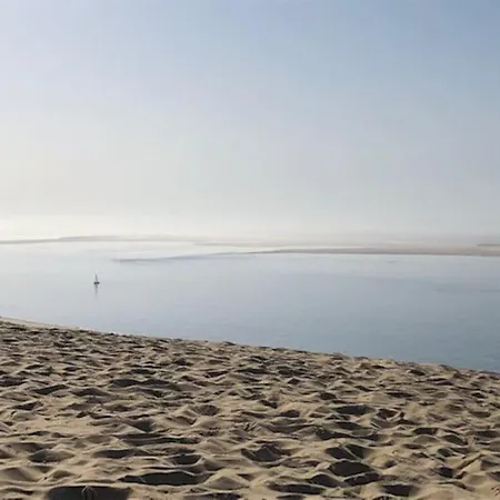 شقة Agreable 3 Extra Centre A 200m De L'ocean بيسكاروس