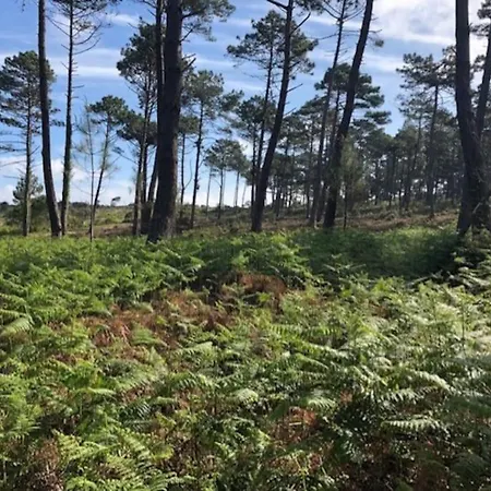 Agreable 3 Extra Centre A 200m De L'ocean * Biscarrosse