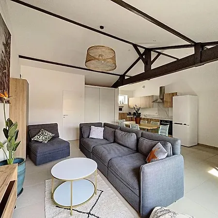 Agreable 3 Extra Centre A 200m De L'ocean Διαμέρισμα Biscarrosse