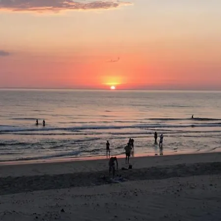 Διαμέρισμα Agreable 3 Extra Centre A 200m De L'ocean Biscarrosse