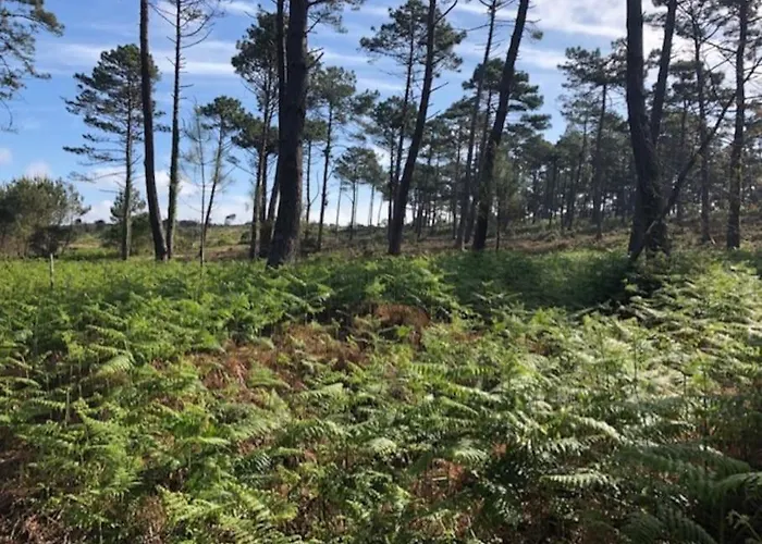 Agreable 3 Extra Centre A 200m De L'ocean * Biscarrosse